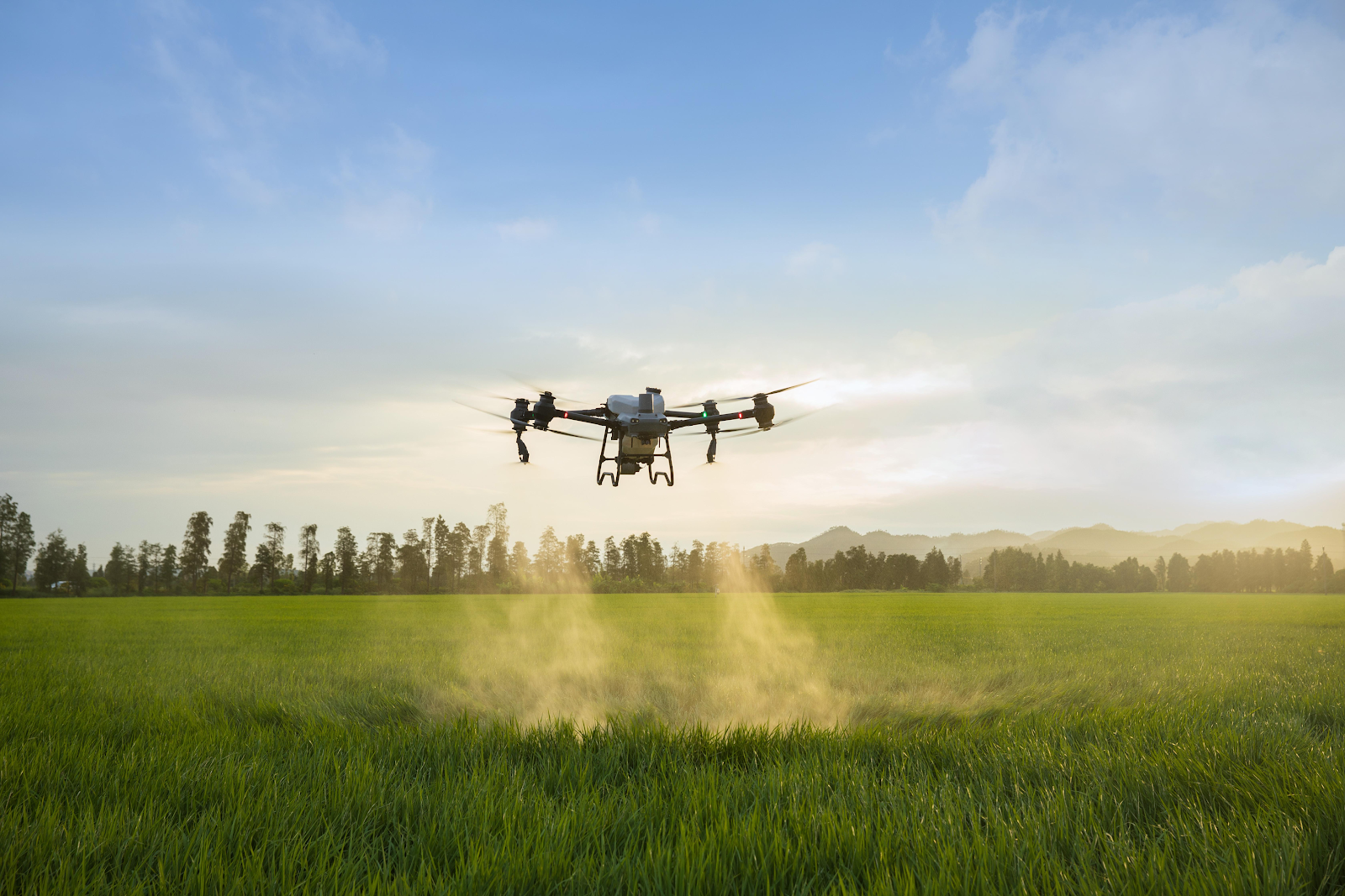 DJI Agras T50 sprüht Feld in der Landwirtschaft