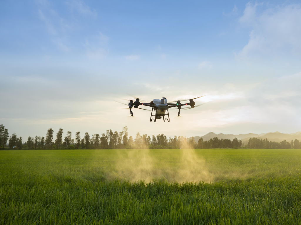 Biodynamische Präparate. DJI Agras T50 sprüht Feld in der Landwirtschaft